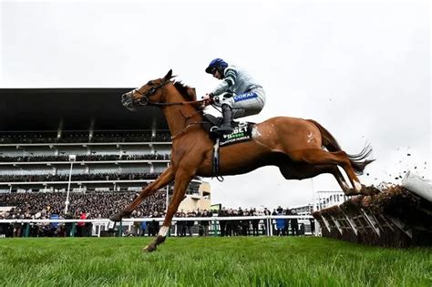 Cheltenham 2024 Wednesday results in full: Every winner from Day Two.